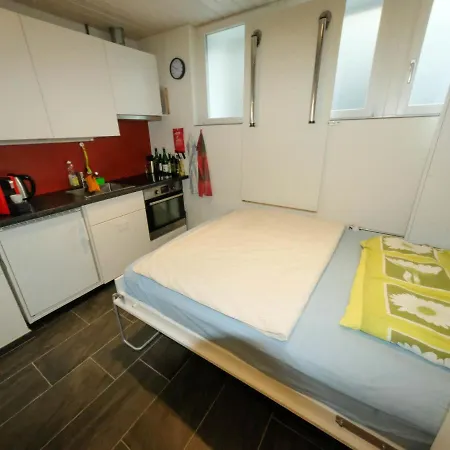 Apartment Metamorphosis Faulensee